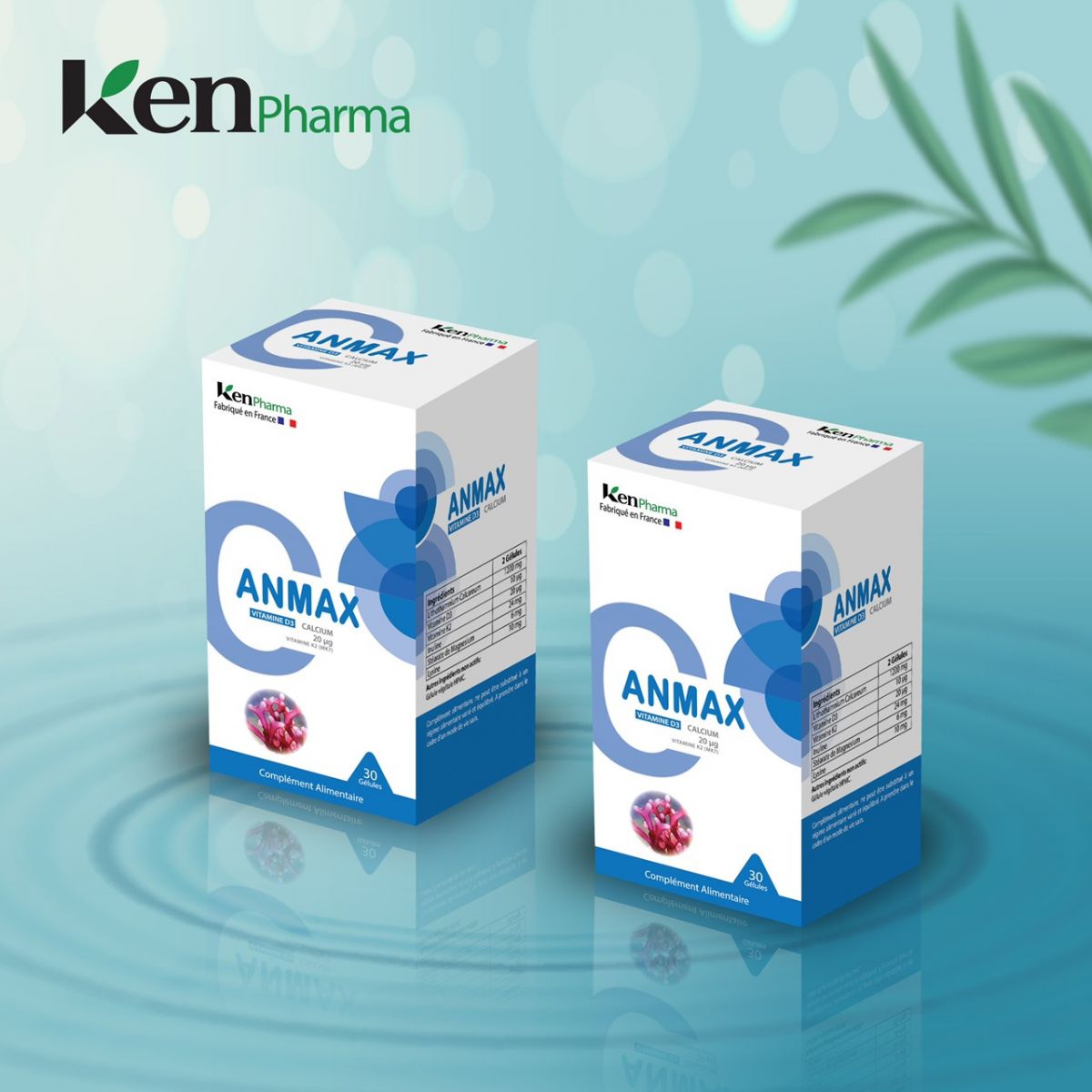 Anmax