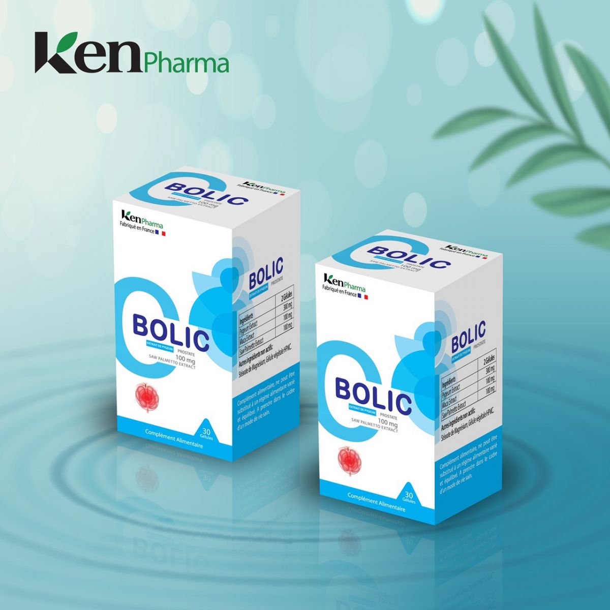 Bolic